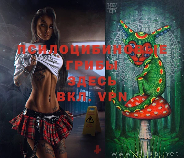 ГАЛЛЮЦИНОГЕННЫЕ ГРИБЫ Арсеньев