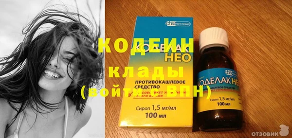 ГАЛЛЮЦИНОГЕННЫЕ ГРИБЫ Арсеньев