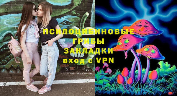 ГАЛЛЮЦИНОГЕННЫЕ ГРИБЫ Арсеньев