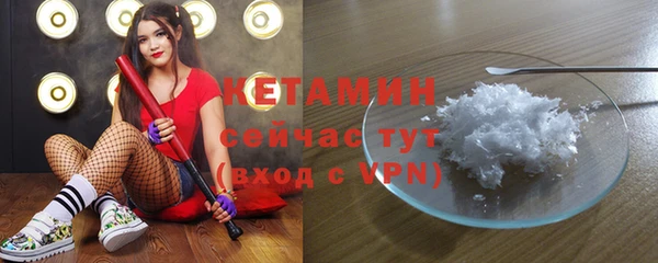 трава Аркадак